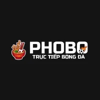 Dịch Vụ 